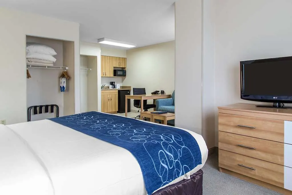 *** Hotel Hampton By Hilton Grand Cayman Seven Mile Beach George Town Isole Cayman