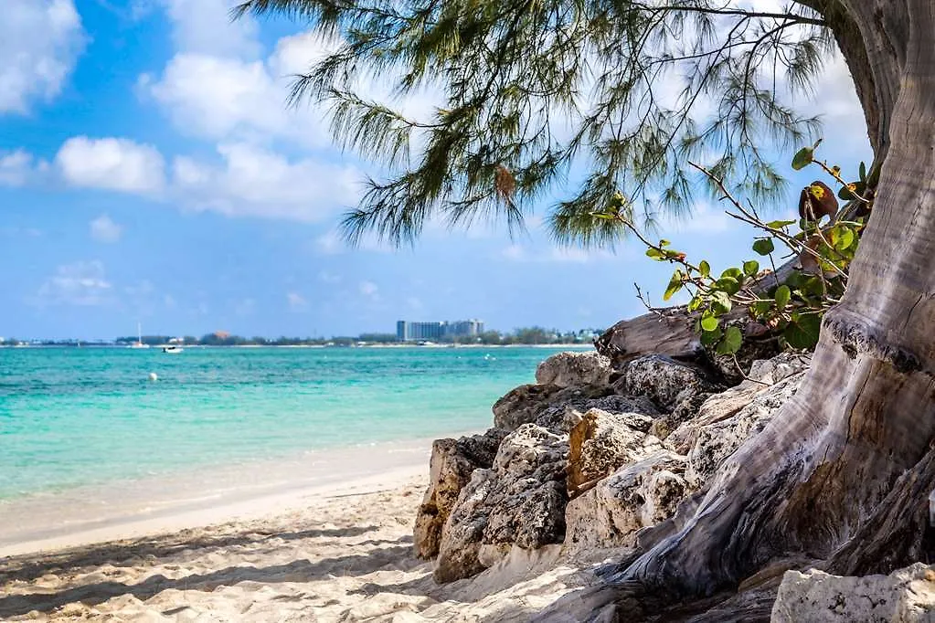Hotel Hampton By Hilton Grand Cayman Seven Mile Beach George Town