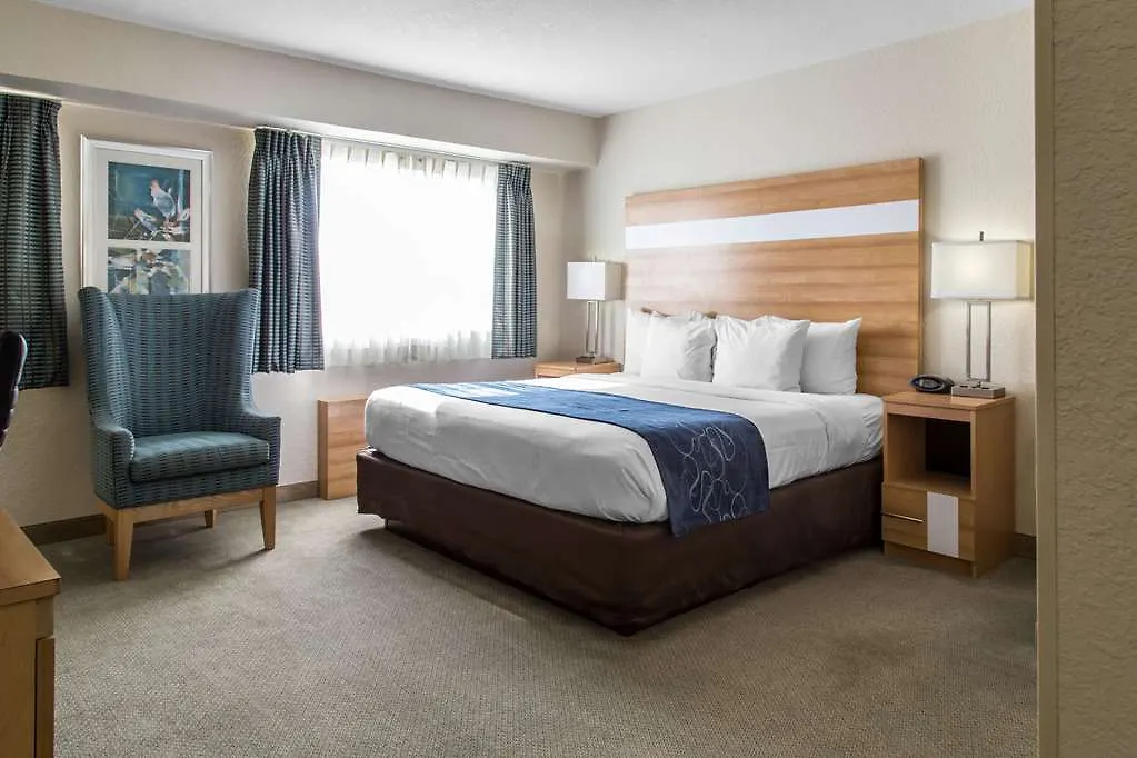 Hampton By Hilton Grand Cayman Seven Mile Beach George Town Hotel