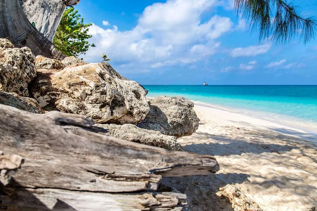 Hampton By Hilton Grand Cayman Seven Mile Beach George Town Hotel